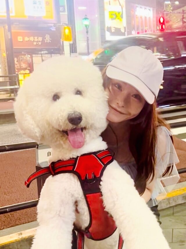 選挙応援中の一コマ。もふもふチャージ🤍
可愛すぎて癒されました🐶
私は猫系の政策が多いですが、元々子供の頃は犬を飼っていたのでわんちゃんも大好きです。

現在、絶賛参議院議員選挙中です！

7月20日（日）が投票日ですが、期日前投票もできますので、毎日が投票日です。

🗳 東京都選挙区は「おときた駿」（※東京都在住の方の1枚目の投票用紙）
🗳 全国比例は「やながせ裕文」（全国どこでも書けます！２枚目の投票用紙）

ぜひ「おとやな」で覚えてください☺️

⸻

📢 ここからは、社会保険料の話です。

（※なるべく分かりやすくまとめたつもりですので、ぜひご一読下さい🙏）

物価は上がるのに、手取りは増えない。
将来への不安が募る中、現役世代の暮らしを圧迫している大きな要因のひとつが、
毎月の「社会保険料の重さ」です。

⸻

社会保険料とは？
年金・健康保険・介護保険など、働く人が給与から自動的に天引きで支払っている保険料の総称です。

手取り収入に直接影響するだけでなく、企業も労働者と同額の保険料を負担しています。
つまりこれは、働く人にとっては「見えない増税」、
企業にとっては「見えない人件費」となっているのです。

特に中小企業では、社会保険料の負担が重く、
人を雇いたくても雇えない、
給料を上げたくても上げられない——
そんな現実があります。

これでは、働く人も雇う側も、どちらも報われない社会になってしまいます。

⸻

最近では、
「社会保険料が高すぎる！」
という声をよく耳にするようになりました。

その背景には、ある“仕組み”があります。

⸻

実は、社会保険料は消費税や所得税と違って、
法改正がなくても「保険料率の見直し」などで引き上げることが可能です。

言葉を選ばずに言えば、社会保険料は“勝手に上げられてしまう”制度なのです。

つまり、国会で大きな議論もないまま、
私たちが気づかないうちに、じわじわと負担が増えているのです。

これが「実質的な増税」と呼ばれる理由です。
税金ではないけれど、税金と同じように家計を圧迫する存在…、それが社会保険料です。

⸻

さらに来年4月からは、「子ども・子育て支援金制度」が新たに始まり、
社会保険料はさらに増額される見込みです。

もちろん子育て支援は必要ですが、
「子どもがいない人からも保険料を取る」という設計に対し、
「実質的な独身税では？」との声も上がっています。

これで本当に、子どもを産み育てたいと思える環境が整うのでしょうか？

⸻

その一方で、政治の関心はどうでしょうか？

「全世帯に◯◯円支給します」
「低所得世帯に一律◯万円」

こうした“バラマキ”政策が繰り返されています。
でも、よく考えてみてください。

そのお金はどこから出ているのでしょうか？
なぜそんなにすぐ支給できるのでしょうか？

それは、私たちの税金を集めて、配り直しているだけです。
しかも、その“配り直し”には多額の事務コストがかかり、
届く頃には“目減りした支援”になってしまっています。

⸻

そんな「その場しのぎ」の政治を続けるよりも、
時代に合わなくなった社会保険料の仕組みを見直し、
根本から構造を変えるべきではないでしょうか。

⸻

現役世代の手取りを増やすには、「減税」もひとつの方法です。
しかし、減税には法律の改正が必要で、実現までには時間がかかります。

それに対して、社会保険料改革は法改正が不要なうえ、
無駄を省く制度設計によって実現できる、
より現実的で即効性のある政策です。

⸻

これまで多くの政党は、既得権益や支持母体である組織団体への配慮から、この課題に手をつけられずにきました。

そんな中、しがらみなく真正面から切り込めるのが維新の強みです。

だからこそ維新は、
支出構造にメスを入れ、制度改革を通じて、
社会保険料の引き下げを実現したいと考えています。

⸻

これは、まじめに働く人が報われる社会へ。
企業が人を雇いやすくなる環境へ。
そして、未来の世代にツケを回さない仕組みへの転換です。

そのためには、今こそ「社会保険料の見直し」が必要です。

⸻

今回、この「社会保険料を引き下げる！」というイシューを最も大きく掲げて政策を訴える中で、
もし票が集まらなければ、他党はこう判断します。
「社会保険料を下げるなんて言っても、票にならないからやらなくていい」と。
この改革は、さらに10年遅れてしまうかもしれません。

でも逆に、この政策を掲げる候補が当選すれば、
「これは国民が求めている声だ」と受け止められ、
国会でも必ず議論が動きます。

⸻

もしこの改革に賛同いただけるなら、
あなたの1票で、

👉 #社会保険料を下げる改革 を前に進めてください！

未来の世代に負担を先送りしないために。
そして、今を生きる人たちの手取りを増やし、
安心して暮らせる社会のために。

最後まで頑張ってまいります💪

#社会保険料引き下げ #社会保険料を下げ手取りを上げる #社会保険料から暮らしを変える #社会保険料 #しゃほさげ #社保下げ #日本維新の会 #東京維新の会 #維新 #おときた駿 #やながせ裕文