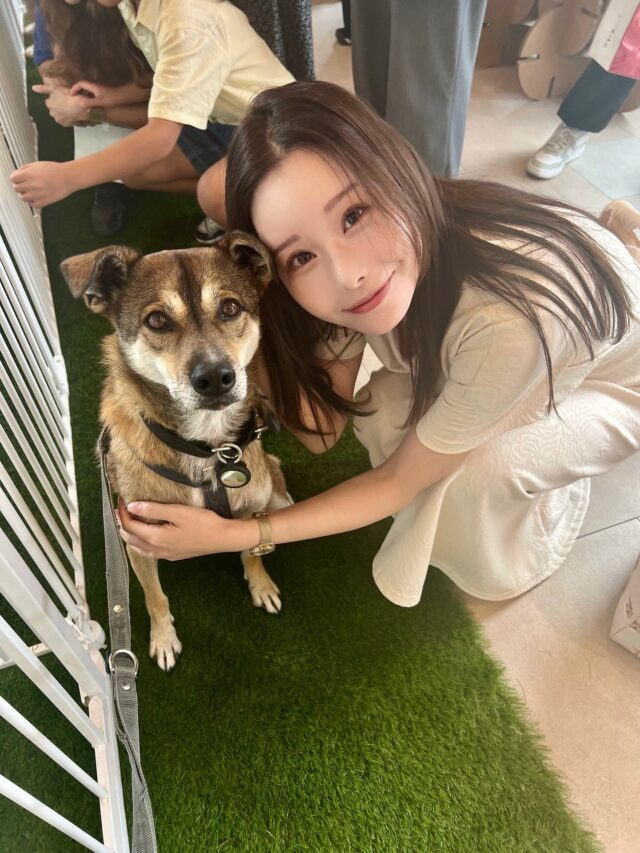 🐾 「WAN DREAM GARDEN 〜保護犬猫と人の幸せな暮らし方～」に参加しました。
保護犬猫の譲渡会では、かわいいネコちゃん・ワンちゃんたちに触れ合いながら、命の尊さと温もりを実感するひとときでした。

ピースワンコ世田谷譲渡センターからも可愛いワンちゃんが参加。
昨年から犬のみならず猫のピースニャンコ事業も始動しており、今後の展開が一層楽しみです。

また、サンミュージック時代にご一緒した小野真弓さんとも久しぶりにお会いできました✨
今日はPECOさんのトークショーなども開催され、保護犬猫の魅力を幅広く伝える企画が充実していました。

特に印象的だったのは、野犬として生まれ、保護犬となった中型犬のわんちゃんたち。
大人しくて賢く、無駄吠えもなく、絆を大切にできる。
そして雑種ならではの唯一無二の表情は、もっと多くの方に知っていただければ、その魅力を感じていただけるのではないかと思いました。

りく・なつプロジェクト×ピースワンコ Presents 「WAN DREAM GARDEN　〜保護犬猫と人の幸せな暮らし方〜」
日時：2025年9月20日（土）〜 9月26日（金）
会場：Annex Aoyama & Connect Garden（東京都港区南青山3-1-26） 

9月26日まで表参道で開催中です！
保護犬猫に関心のある方は、ぜひ足を運んでみてくださいね😸🐶

#保護犬 #保護猫 #譲渡会 #WanDreamGarden #表参道 #annexaoyama #動物福祉 #ピースワンコ #ピースニャンコ #動物愛護週間 
#若林りさ #世田谷区議会議員 #世田谷区議会議員若林りさ #若林りさ区議 #若林りさ世田谷区議会議員 #若林りさ世田谷区議