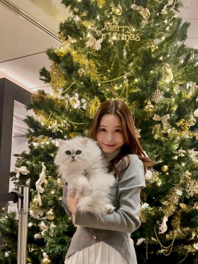Merry Christmas🎄Wishing you a warm and peaceful holiday!

#merrychristmas #happyholidays #モアモアちゃん #チンチラペルシャ